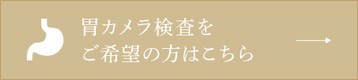 胃カメラ検査をご希望の方はこちら