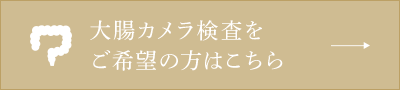 大腸カメラ検査をご希望の方はこちら